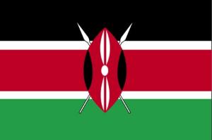 The Kenya flag - a new constitution is now ready