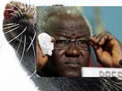 Ernest Bai Koroma - the puppet master at State House bent on engulfing Sierra Leone into another round of extreme violence and disorder using all means necessary.