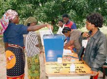 Women voters in Mozambique